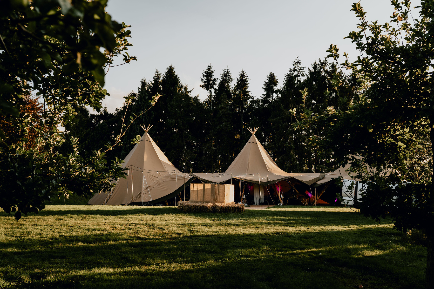 tipi Pat